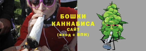 сатива Пестово