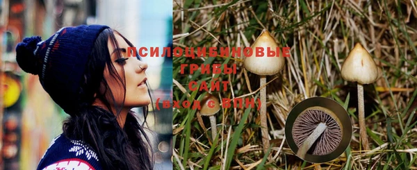 гашишное масло Александровское