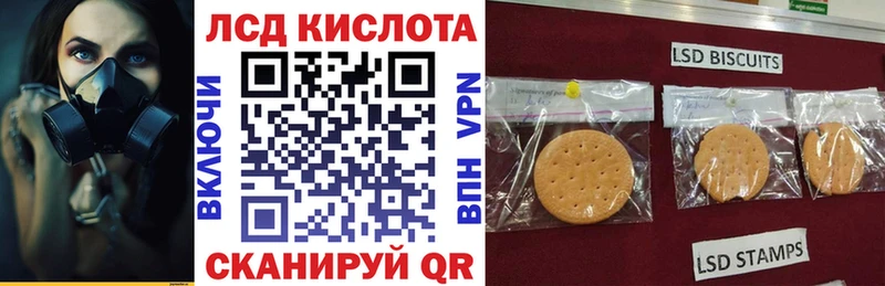 Марки N-bome 1,5мг  где продают наркотики  Сальск 