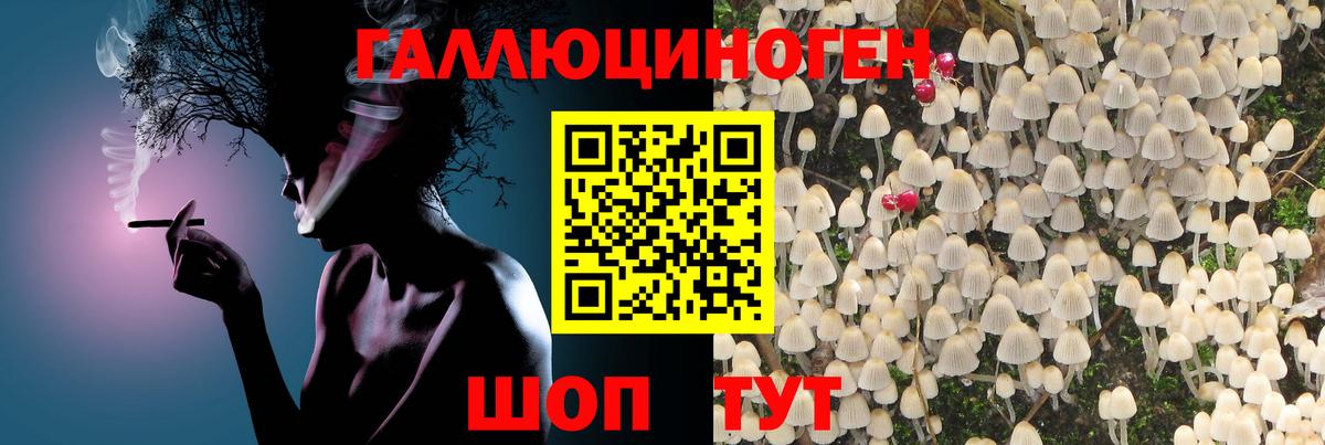 Псилоцибиновые грибы прущие грибы Сальск