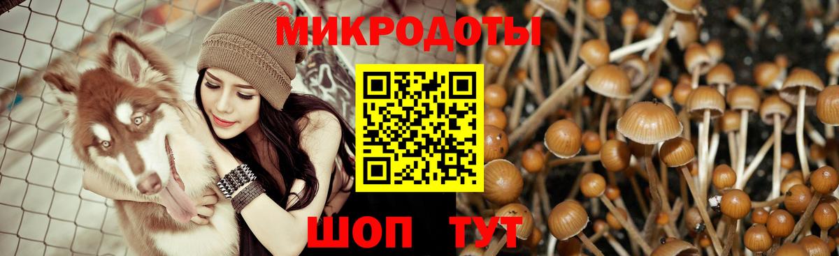 Галлюциногенные грибы мицелий  Вход с VPN  Сальск 