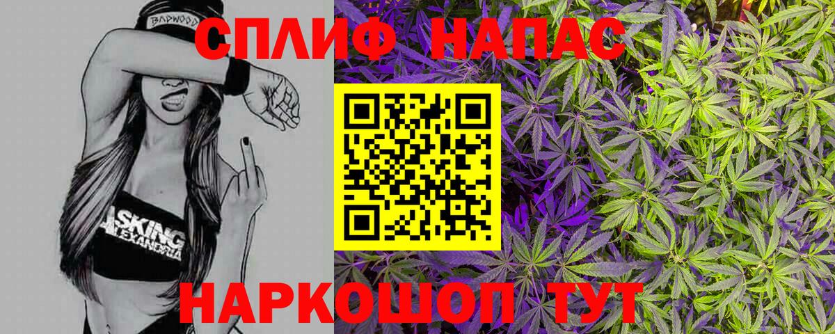Конопля гибрид  Шишки марихуана план  Сальск  Вход с VPN 